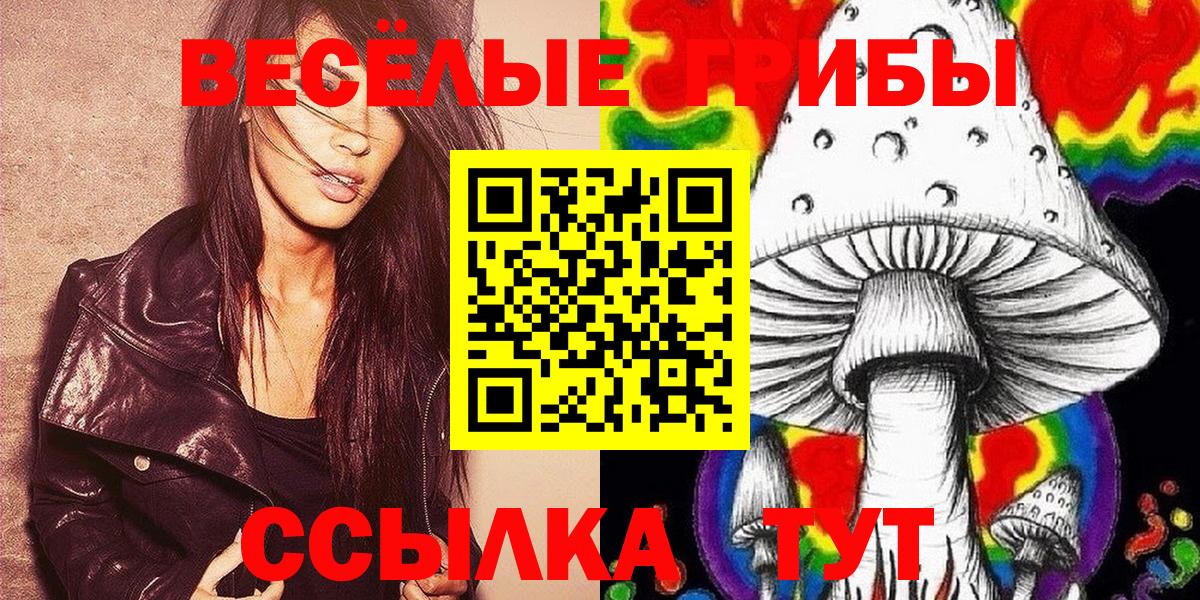 Сафоново  Галлюциногенные грибы MAGIC MUSHROOMS  Вход с VPN 